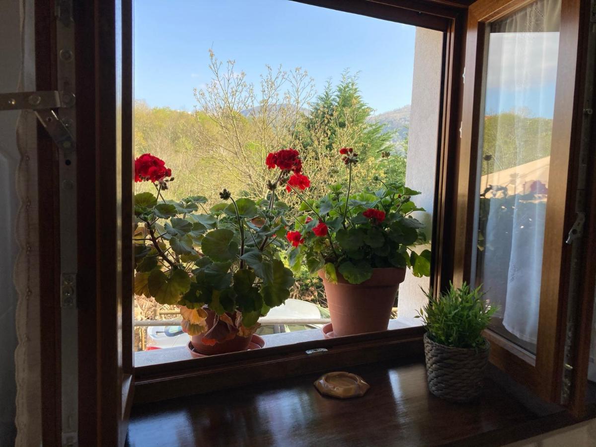 Casa Elena Cangas De Onis Con Wifi Y Parking Gratuito Exterior foto