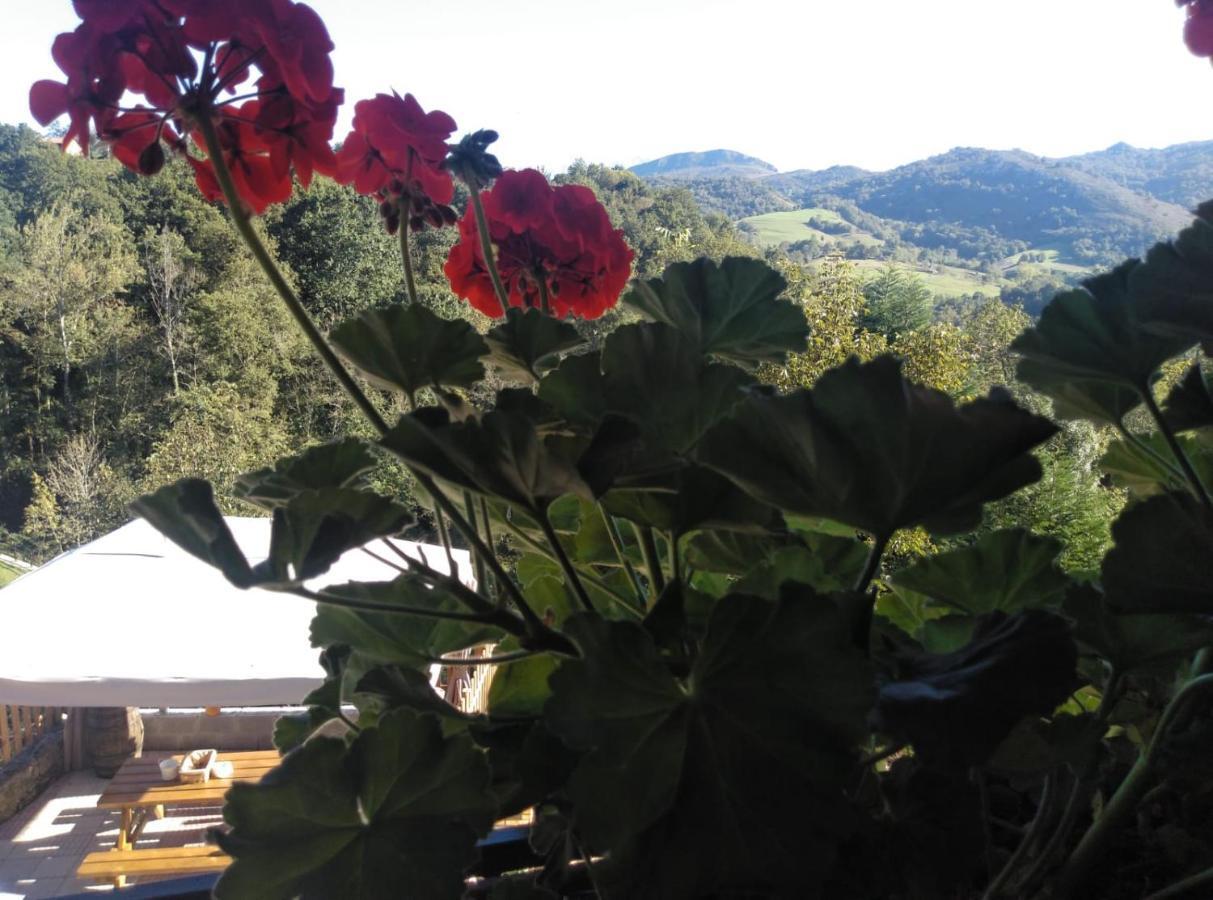 Casa Elena Cangas De Onis Con Wifi Y Parking Gratuito Exterior foto